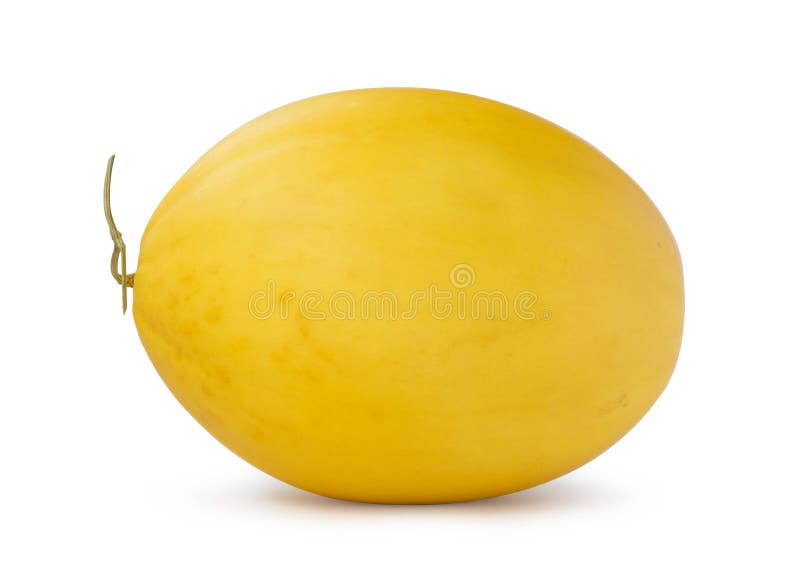 Ripe golden cantaloupe stock photo. Image of ripe, natute 20787570