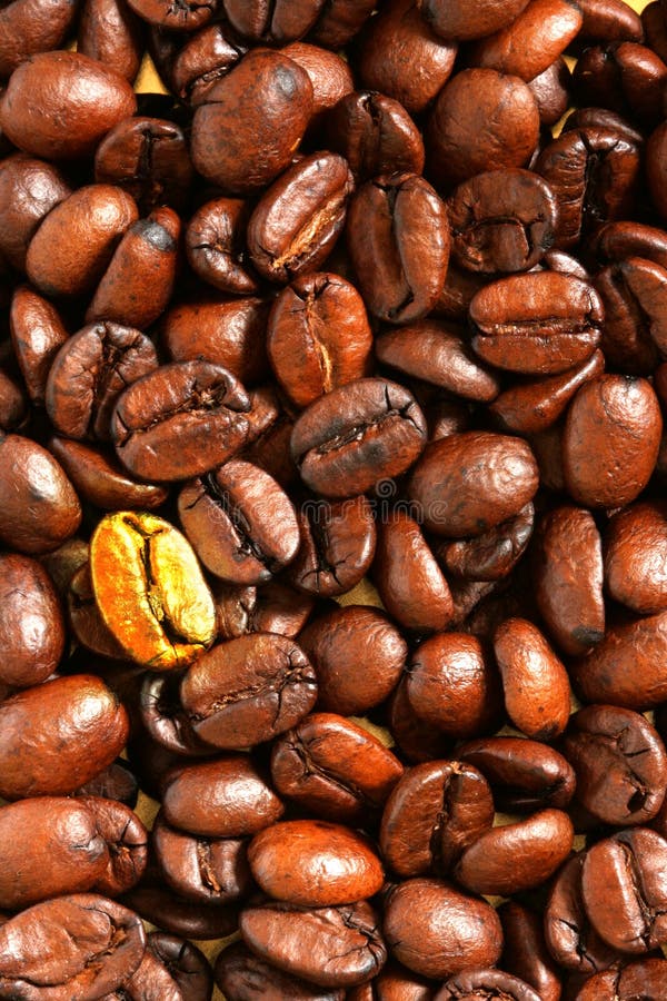Golden coffee bean royalty free stock images
