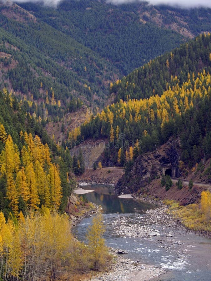 Golden Colors Along the Middle Fork