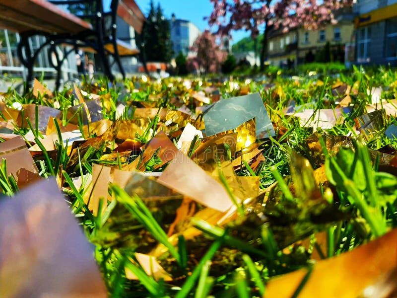 1,113 Confetti Grass Stock Photos Free & RoyaltyFree Stock Photos