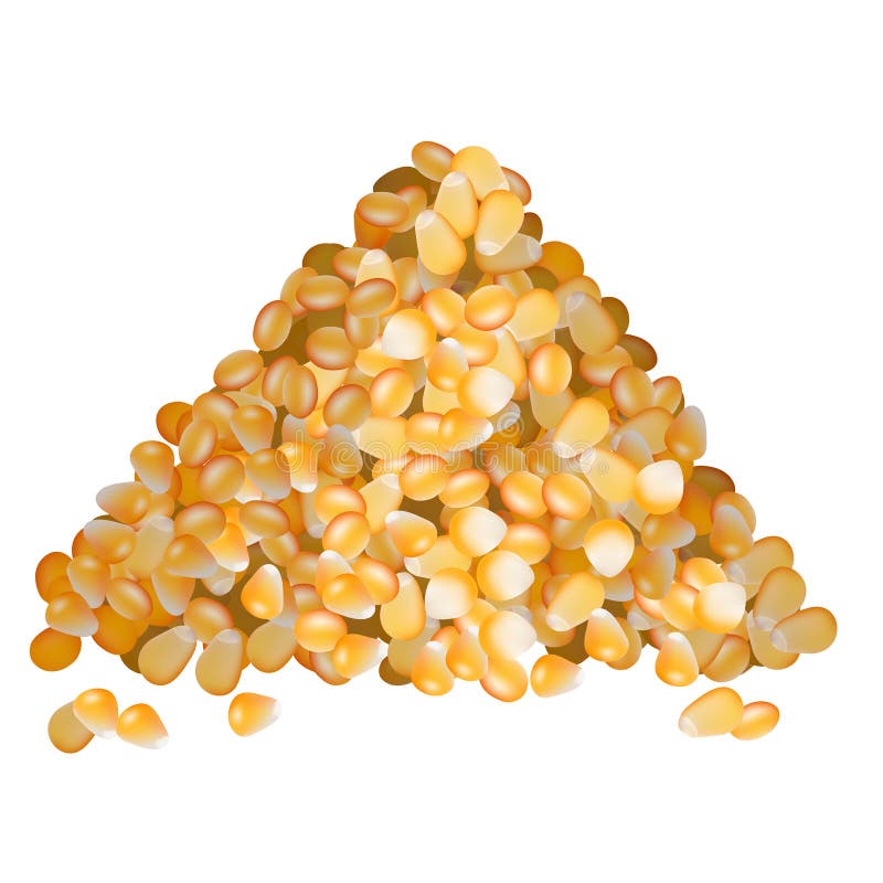 Corn Seeds Stock Illustrations – 4,174 Corn Seeds Stock Illustrations ...