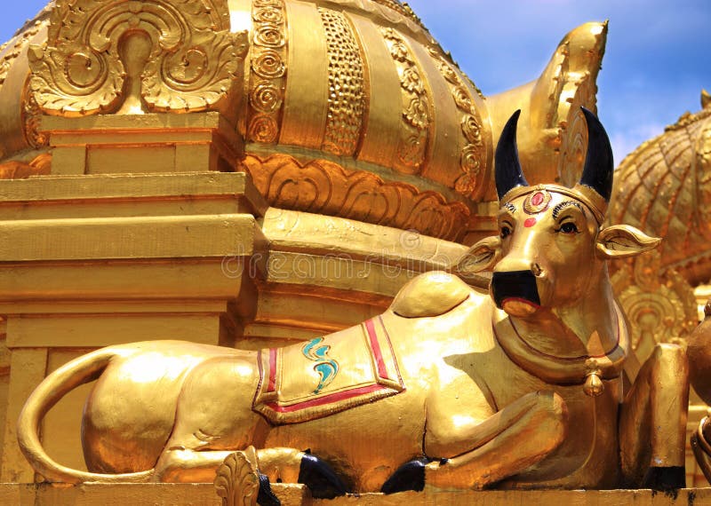 Golden cow