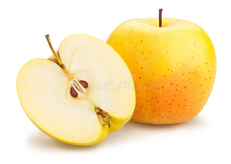 Golden Delicious Apple Tree Stock Photo Image of delicious, fruit