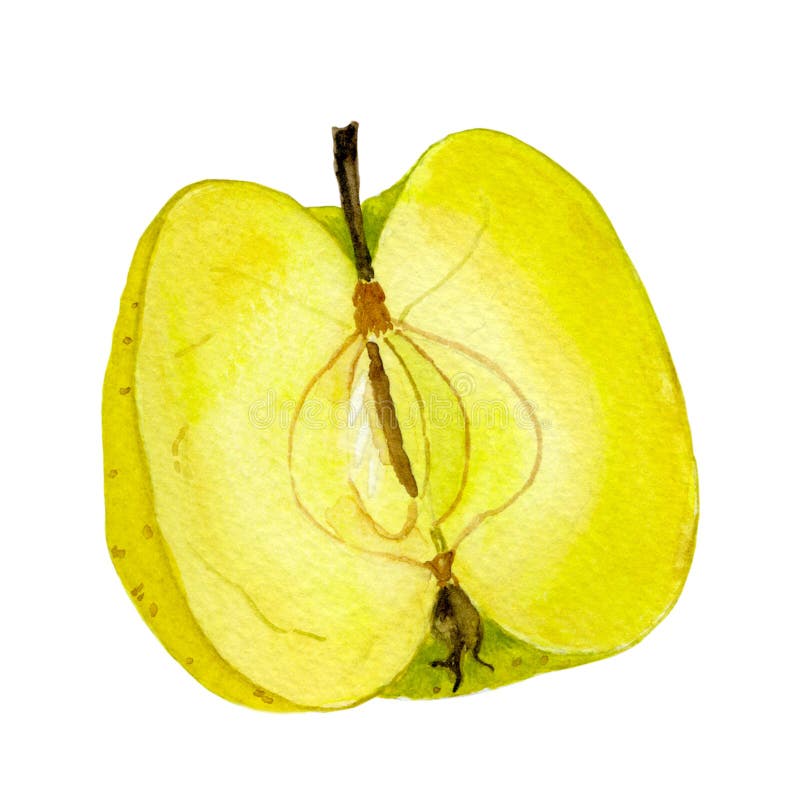 Golden Delicious Halber Apfel Stock Abbildung
