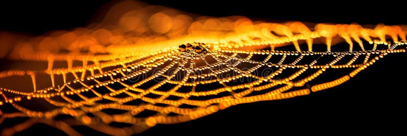 Golden Dewdrops pe Spiderweb Nature Macro Fotografie artă Puncte întunecate se încadrează negru imagine luminos vector illustration