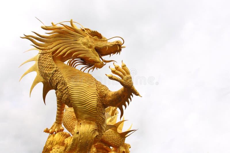 Golden dragon stock images
