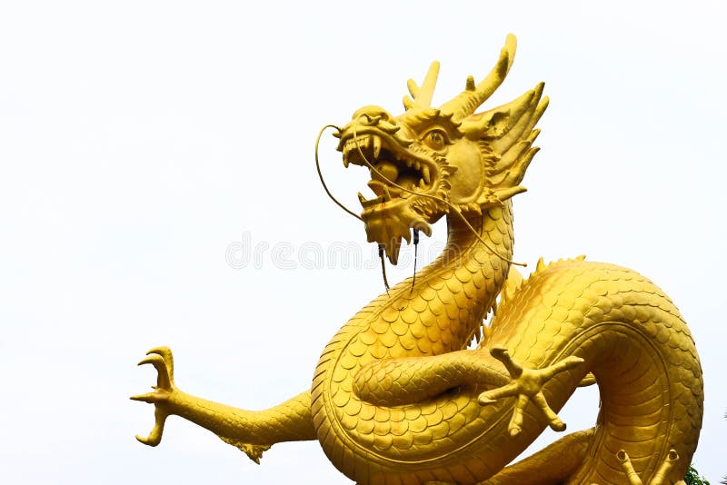 Golden dragon