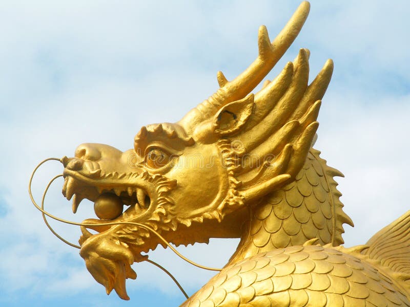 Golden dragon head stock images