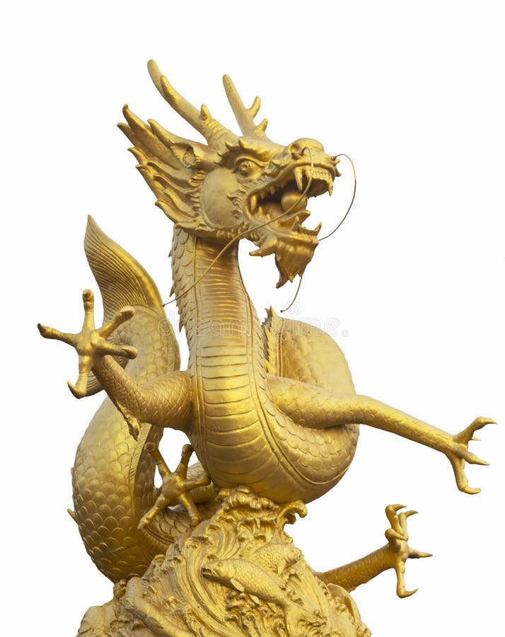 Golden Dragon in White Background Stock Image Image of religious