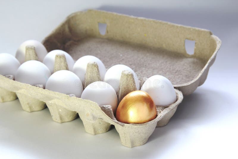 Golden Egg in a Paper Packing Stock Image Image of paper, detail