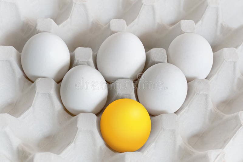 2,500+ Thinking Egg Stock Photos, Pictures & Royalty-Free Images - iStock