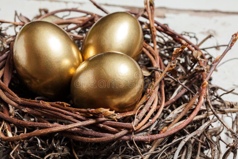 Golden eggs in nest