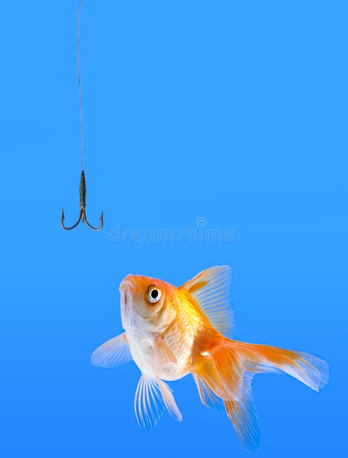 Golden fish and a fishing hook