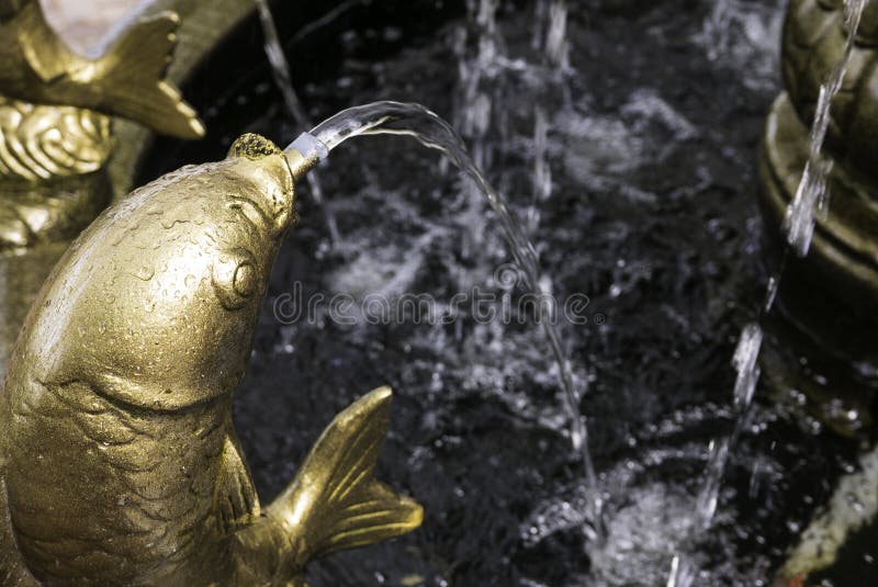 A Golden Fish Statue of Water Fountain Stock Image Image of classic