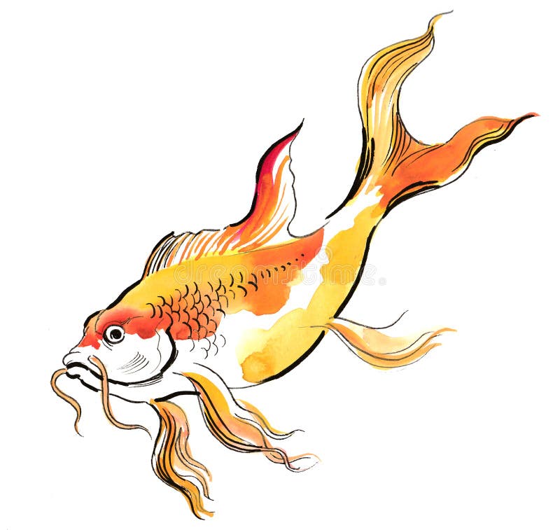 Download Fish Gold Fish Drawing Royalty-Free Stock Illustration