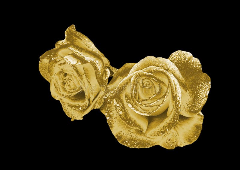 Golden flower stock photo. Image of beauty, abstraction 96018896