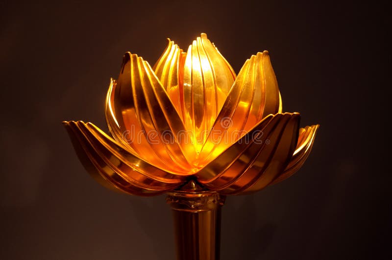 Golden flower in light stock photo. Image of flower 246667742