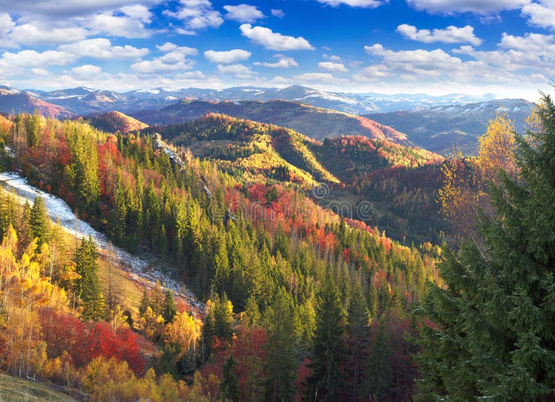 Golden Forest Ridge Sokilsky