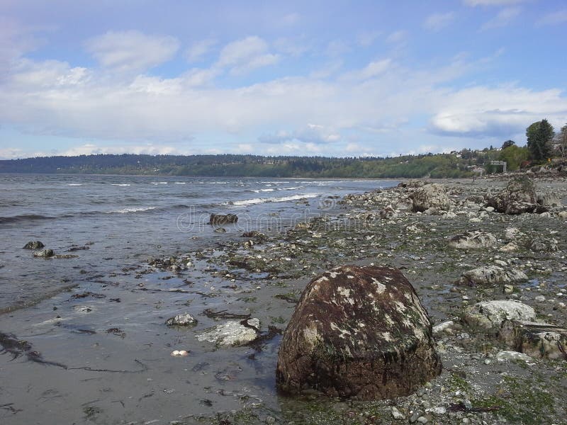 Golden Gardens Park, Seattle, Washington Stock Photo Image of puget