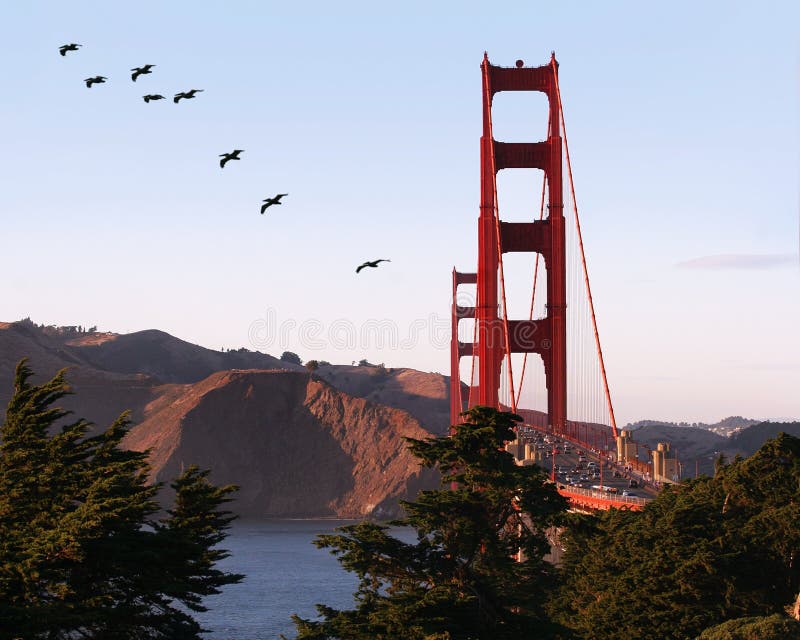 Golden Gate bridge