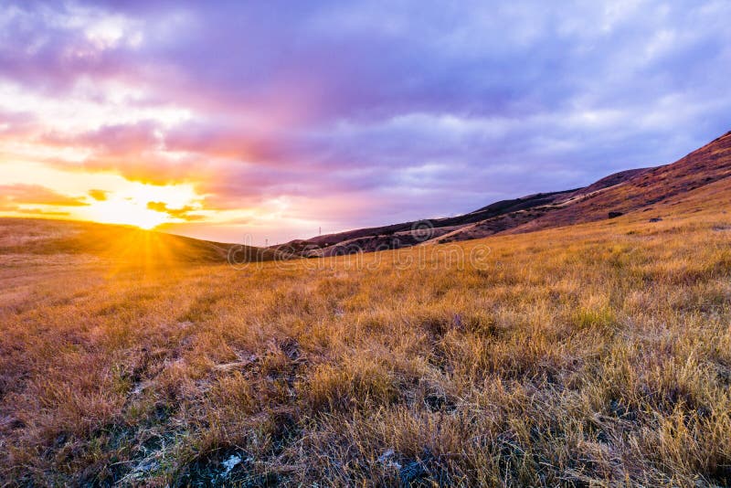 Golden Grasslands At Sunset South San Francisco Bay Area San Jose