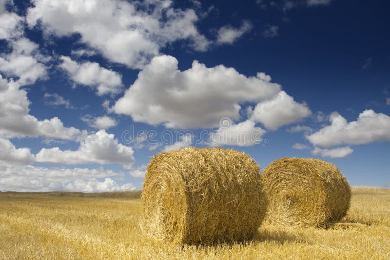 Golden Hay Bales