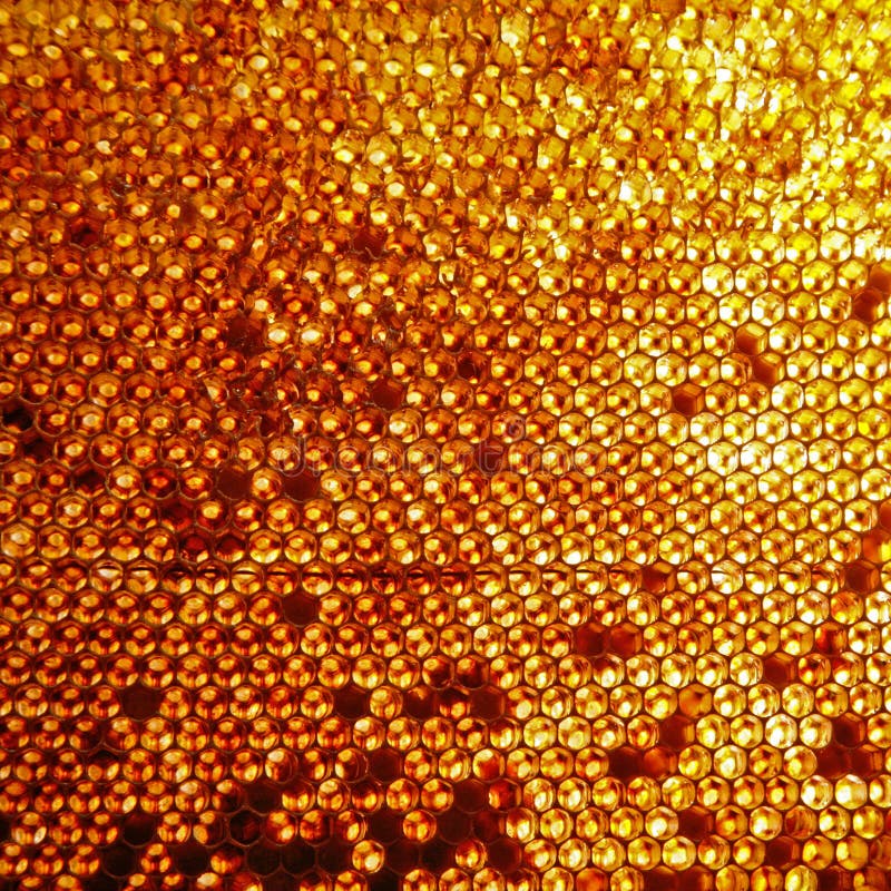 Golden honeycomb royalty free stock photo