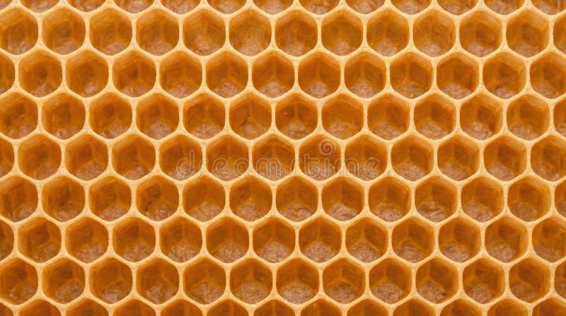 Golden honeycomb cells forming natural repeating pattern stock photo