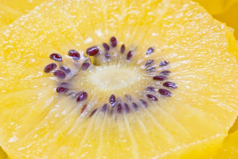 Golden Kiwi Fruit. stock photo. Image of healthy, fresh 34261090