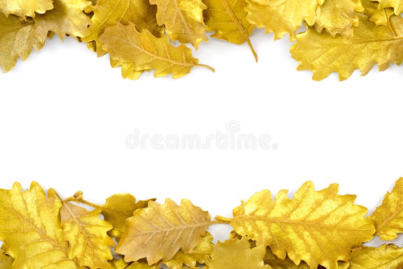 Golden leaf on white background with copy space