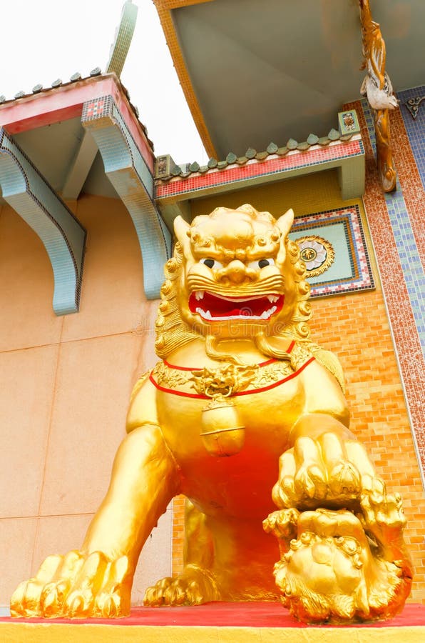 The golden lion statues . stock photo. Image of culture 229823264