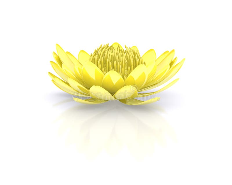 Golden lotus flower water lily royalty free illustration Golden lotus flower water lily royalty free illustration