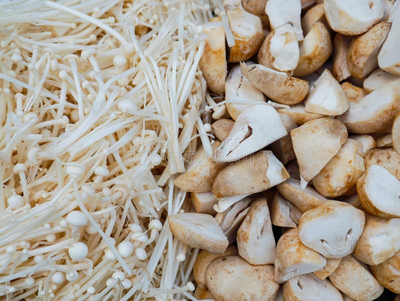 Golden Mushroom and Straw Mushroom Stock Image Image of heap