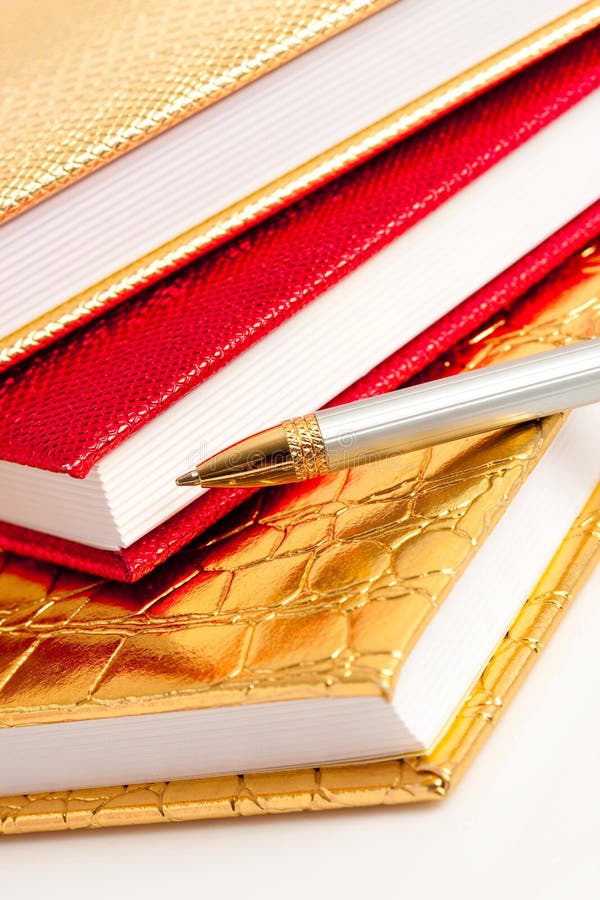 author of the golden notebook author of the golden notebook