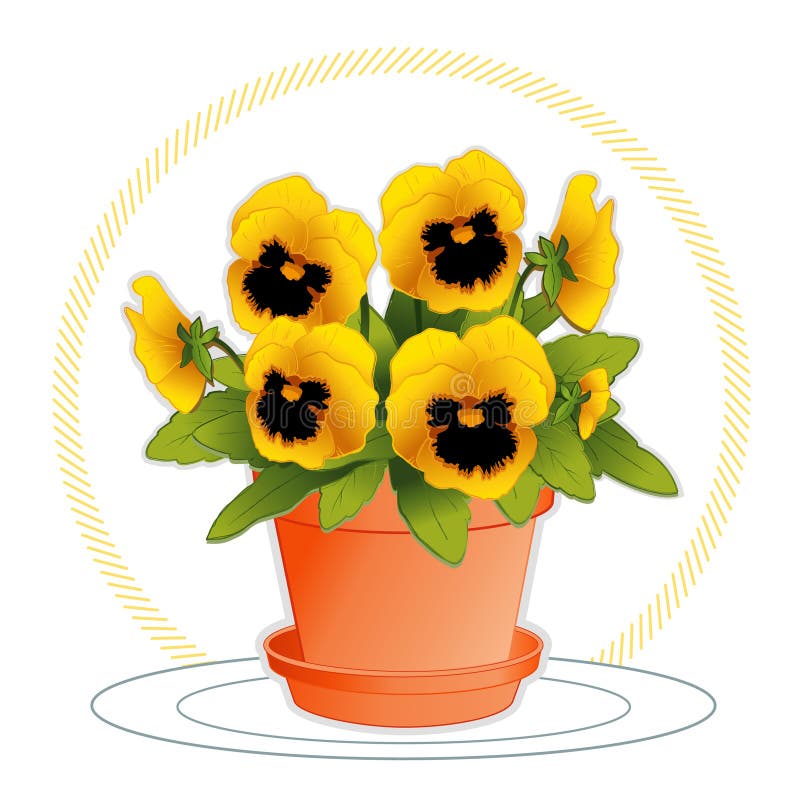 Clay flowerpot with saucer filled with blooming golden pansies. Viola hortensis. EPS8 organized in groups for easy editing.