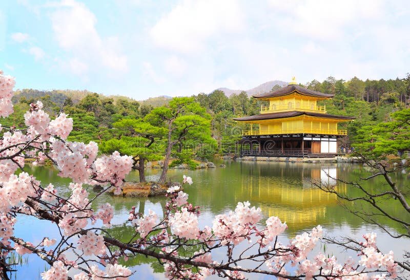 Golden Pavilion and blooming sakura, Kyoto, Japan