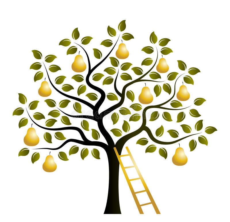 Golden pear tree and ladder