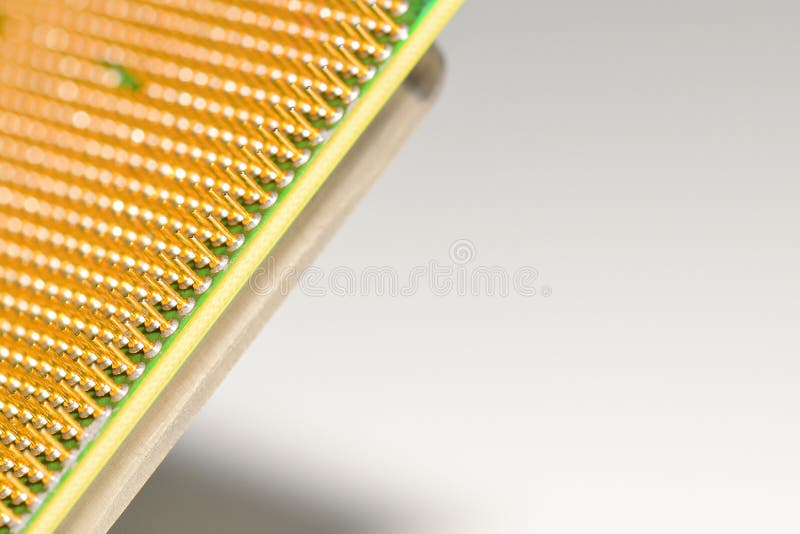 Golden pins of a central processor unit - CPU. Copy space on the right side. Shallow depth of field stock photo
