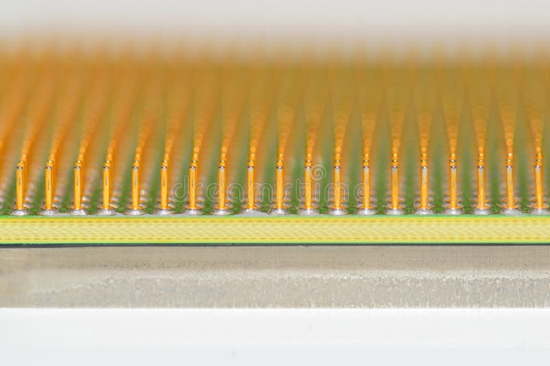 Golden pins of a core. Central processor unit. Shallow depth of field stock image