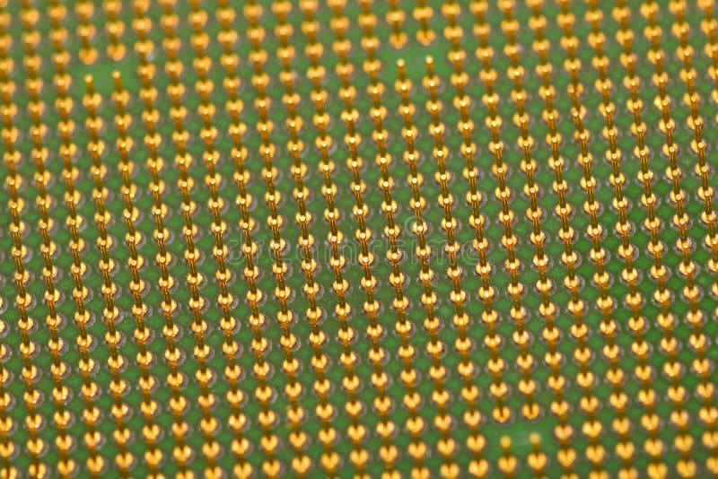 Golden pins of a core. Central processor unit. Shallow depth of field stock photo