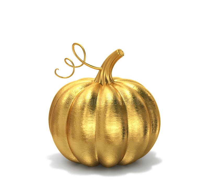 Golden pumpkin harvest stock vector. Illustration of nature - 26416119