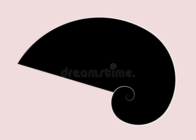 Golden ratio. Fibonacci spiral, golden section, divine proportion, Black Nautilus Shell Showing Spiral, vector illustration stock illustration