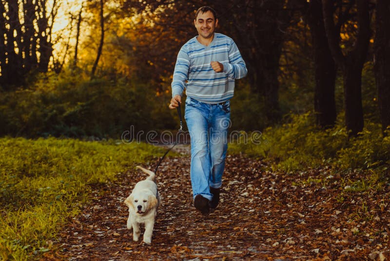 Golden retriever dog with owner royalty free stock photos Golden retriever dog with owner royalty free stock photos