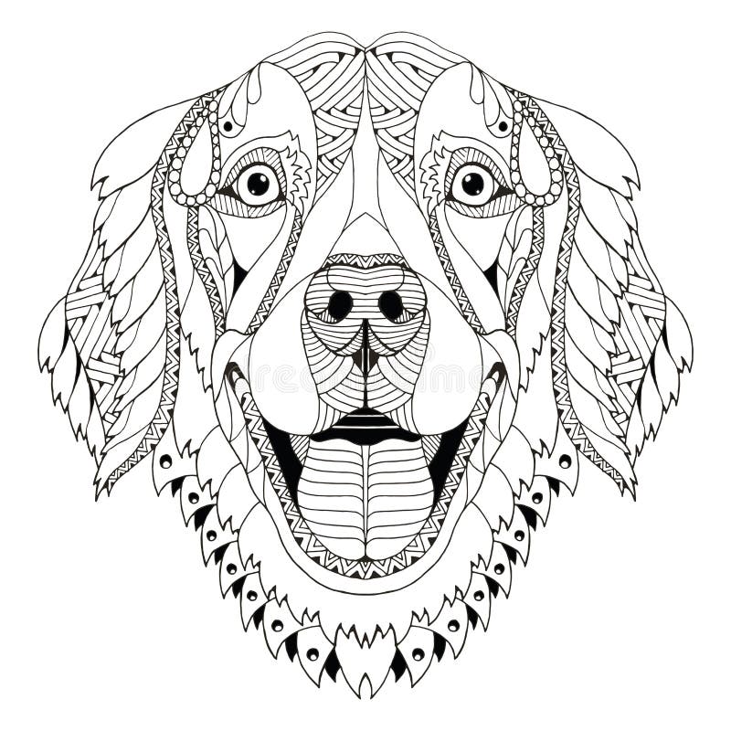 Golden retriever dog zentangle stylized head, freehand pencil, h stock illustration Golden retriever dog zentangle stylized head, freehand pencil, h stock illustration