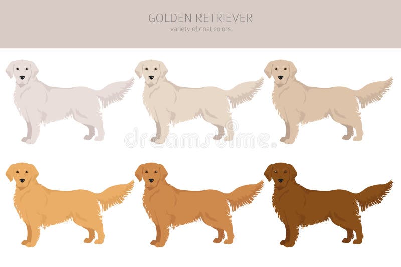 Dogs Different Type of Dogs Vector Illustration Stock Vector ...