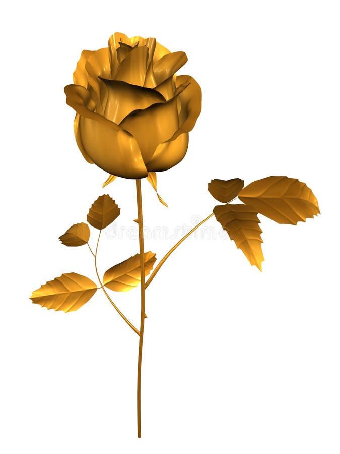 Golden rose with leaves, over white background