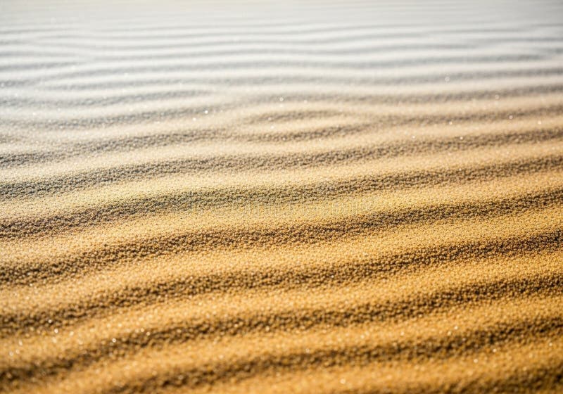Golden sand dunes with a rippled texture create a mesmerizing royalty free illustration