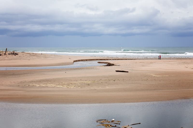 Golden Sandy Beach and Lagoon With Waves Rolling in, with Birds and 2 People at San Gregorio Reserve, Half Moon Bay, California