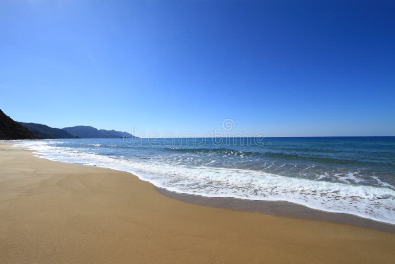 Golden sandy beach stock photography