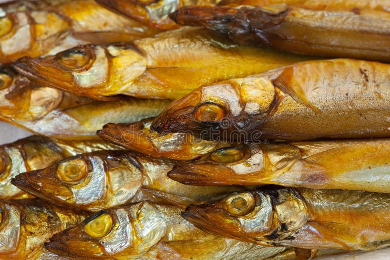 Golden smokedried fish stock photo. Image of building 17677184